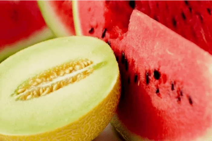 Dieta lubenice melone